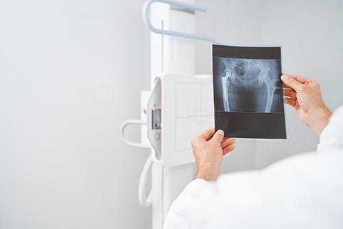 radiografia perros