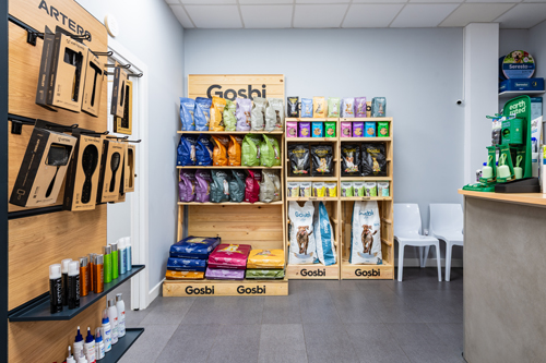 esterilización de perros Castellón