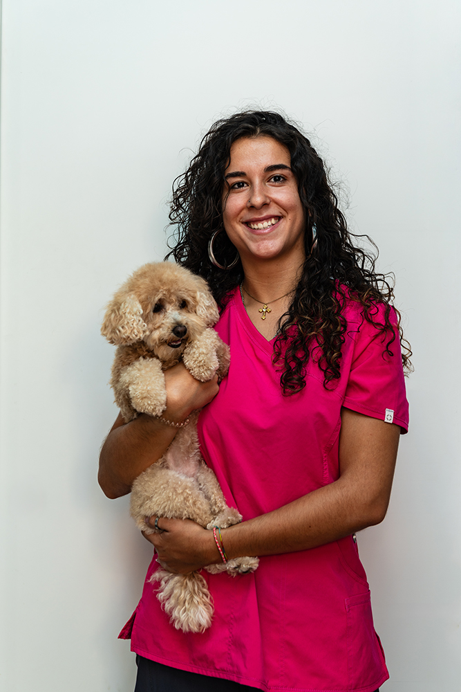 Pet Center Veterinaria Castellón